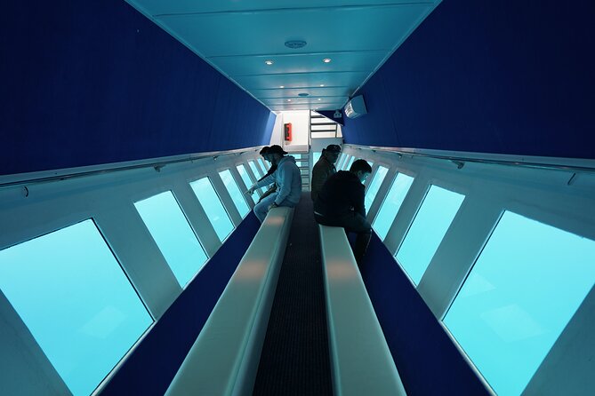 3 Hour Yellow Semi Submarine Swimming Cruise with Drinks Included! - The Boat Experience: Underwater Windows, Drinks, and Real Group Flow