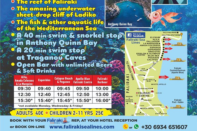 3 Hour Yellow Semi Submarine Swimming Cruise with Drinks Included! - Safety and Gear Reality: What to Watch On Deck