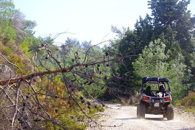 4x4 Buggy Adventures - Off-road Polaris Experience - Getting to Petaloudes: the meeting point reality
