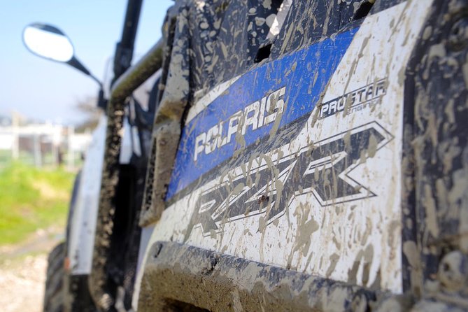 4x4 Buggy Adventures - Off-road Polaris Experience - Midway farm stop: donkeys, honey, and what the tasting really is