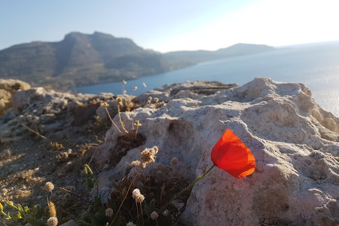 All in One Full Day Rhodes Island Tour for First Time Visitors - Getting picked up in Rhodes without losing your mind