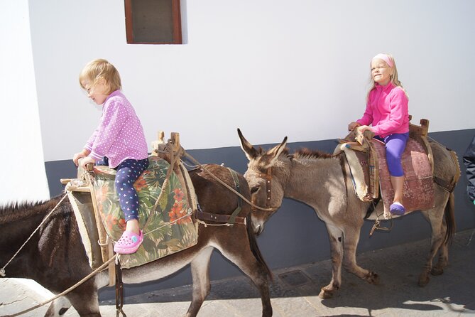 Best of Rhodes Cruise-Friendly Tour - The Return Trip: Back to the Ship Without Panic