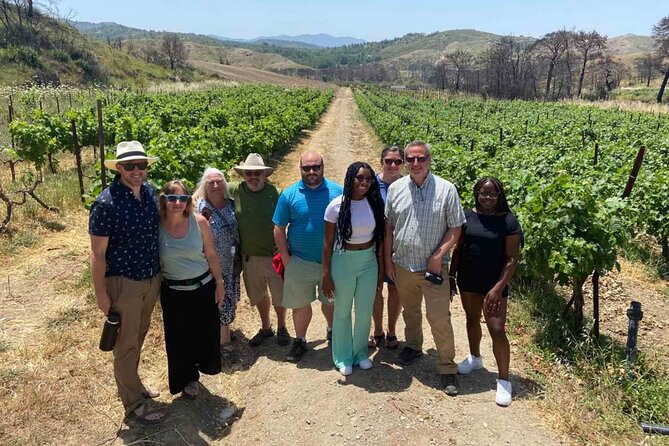 Food & Wine Tour: 11- Course Lunch, Cooking Class, Wine Tasting - A Rhodes Food-and-Wine Day: Winery, Cooking Class, and Unlimited Tastings