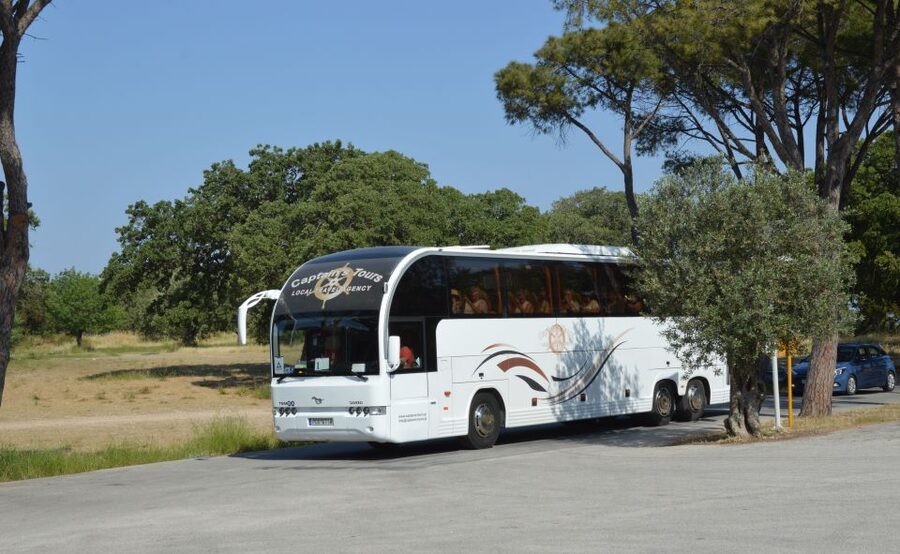 From Rhodes: Bus Tour to Lindos and the Seven Springs - Rhodes-to-Lindos day trip in 7 hours: pickup, bus comfort, and timing