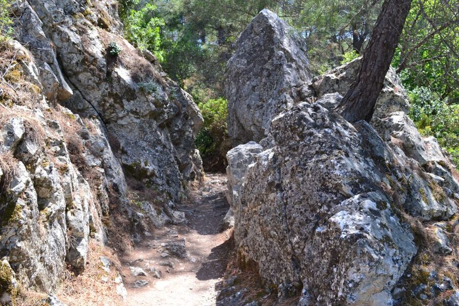 From Rhodes: Lindos and 7 Springs Valley Bus Tour - How to Plan Like a Local: What to Wear and Do During Free Time