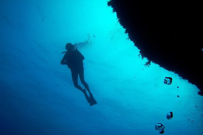(Full day)Scuba Diving in Rhodes - Underwater timing: one short session, then your choice