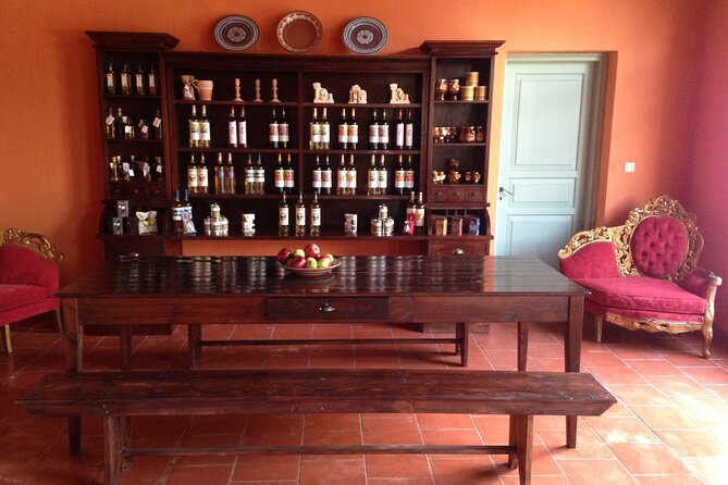 Gourmet Journey: 12-Course Lunch, Wine Tasting & Culinary Session - Vineyard walking: what you learn is tied to what you taste