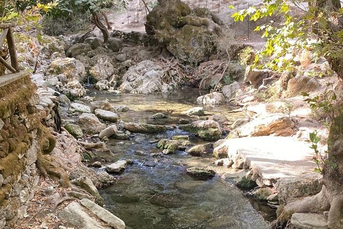 Guided hike to the seven springs from Archangelos - The people factor: Manuela’s guidance and Elisa’s smooth communication