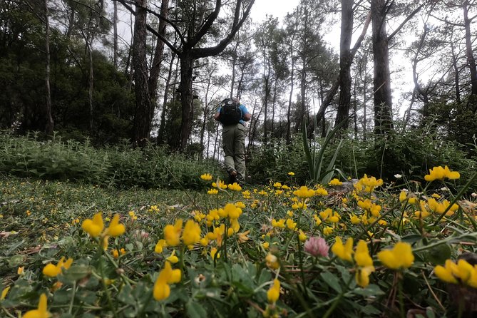 Hiking Mountain Akramitis Rhodes - pick up service available - Key Points You’ll Care About