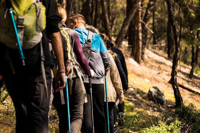 Hiking Mountain Akramitis Rhodes - pick up service available - The Value Question: Is $78.02 Worth It?