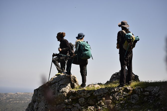 Hiking Profitis Ilias Mountain - The guide makes it: why Panos gets people recommending the tour