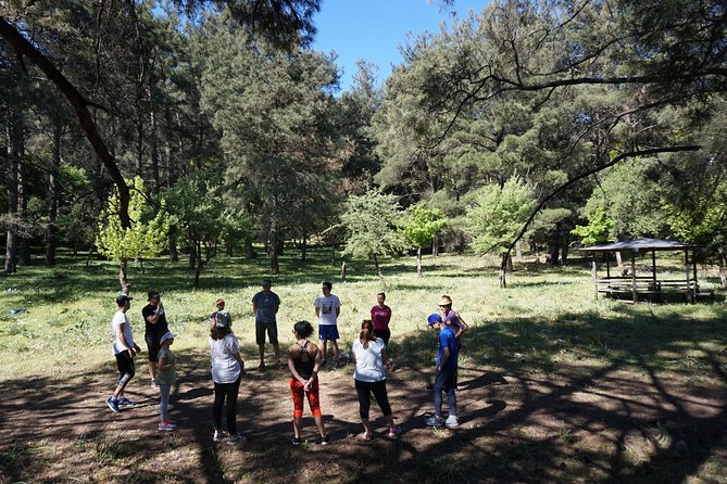 Hiking Profitis Ilias Mountain - Who should book this Profitis Ilias hiking tour?
