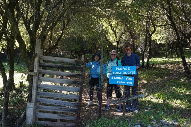 Hiking Profitis Ilias Mountain - Profitis Ilias views: Turkey, islands, and the feeling of altitude