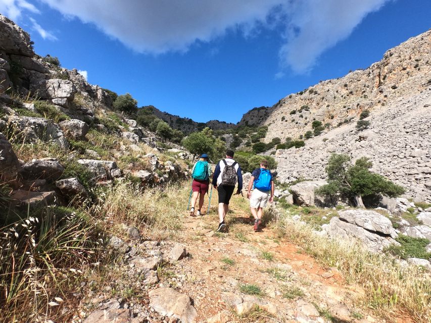 Hiking Tour Exploring Lindos - Key Highlights You’ll Feel