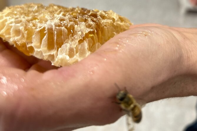 Honey production &Tasting experience " Areti Honey " - What You Can Buy: Jars, Beeswax, and Honey From the Source