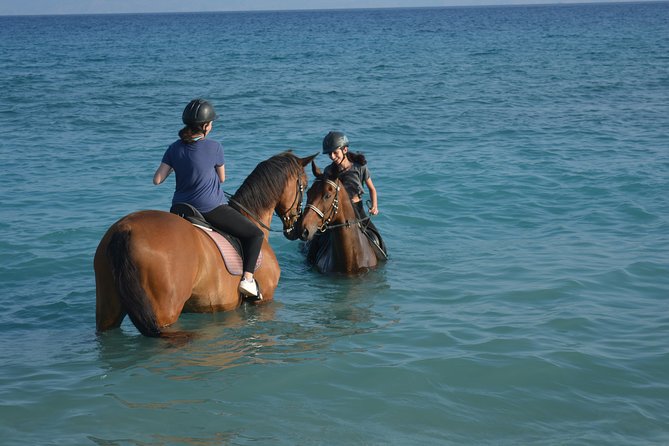 Horse riding on the Beach, Rhodes - Key Points I’d Tell a Friend