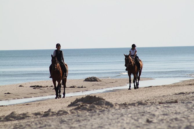 Horse riding on the Beach, Rhodes - The Sea Portion: How to Decide If It Will Match Your Photos