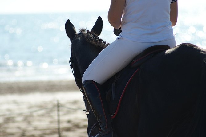 Horse riding on the Beach, Rhodes - Price and Value: Is $133.12 Worth It?