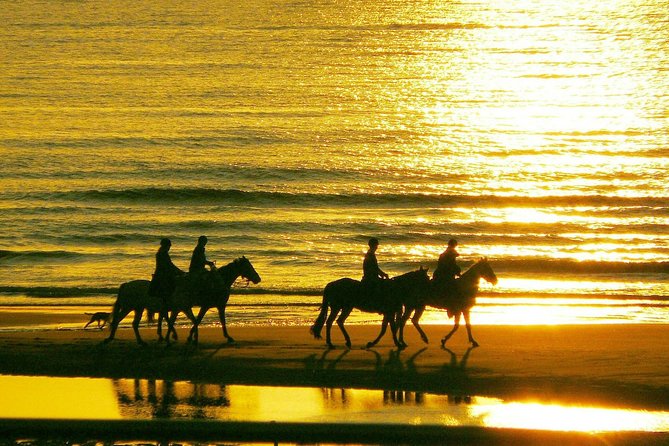 Horse riding on the Beach, Rhodes - Small Group Energy: Why Max 4 Travelers Matters