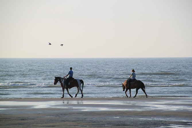 Horse riding on the Beach, Rhodes - Wet Clothes, Sunset Light, and What to Bring