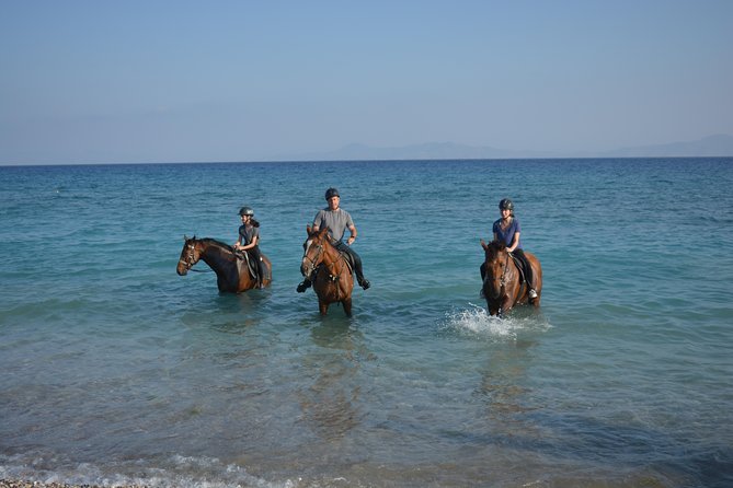 Horse riding on the Beach, Rhodes - Meeting Point and Getting Set Up Without Stress