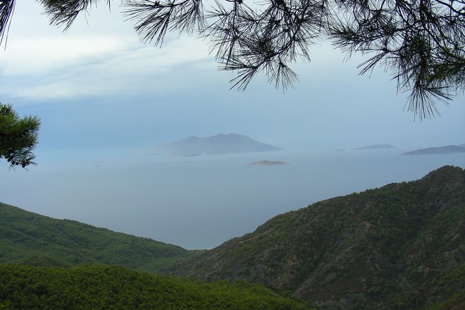 Land Rover Safari in Rhodes North Route - Off-Road Paths Through Dense Vegetation: What You Should Expect