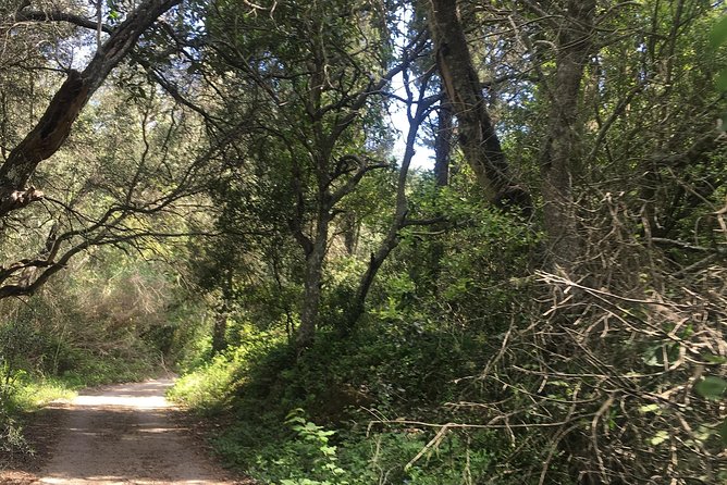 Land Rover Safari in Rhodes South Route - Koufou Forest (Jacob’s Canyon): Aegean Sea views that feel off the map