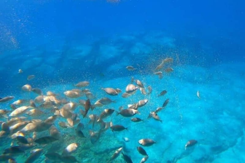 Lindos: 3Hour Hippo Submarine with Swim Stop at Navarone Bay - Navarone Bay swim stop: crystal water, short time, big payoff