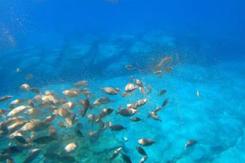 Lindos: Submarine Cruise with Swimming Stop at Navarone Bay - Top Deck Views: St. Paul’s Bay and the Acropolis of Lindos