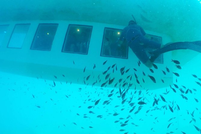 Poseidon Submarine At Mandraki Harbor - The Diver Feeding Moment: Why This Ride Wins for Families