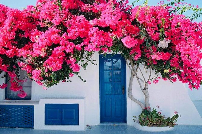 Private Full Day Rhodes Island Tour from Cruise Port - Who This Rhodes Tour Suits (Best Match Scenarios)
