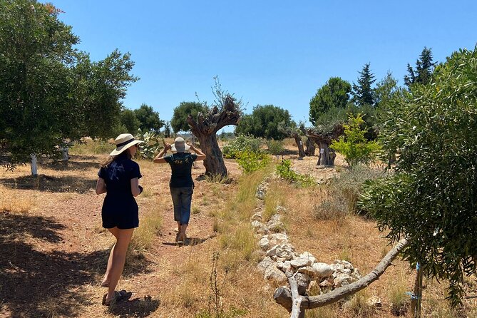 Private Tour: Discover the Secret World of Olives in Afantou - Souvenirs and the small wins you’ll notice later