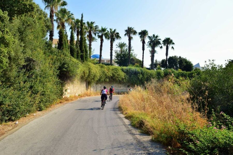 Rhodes: Anthony Quinn Bay E-Bike Tour with Snorkeling - The Coastal Road to Kallithea, Faliraki, and the Bays Ahead