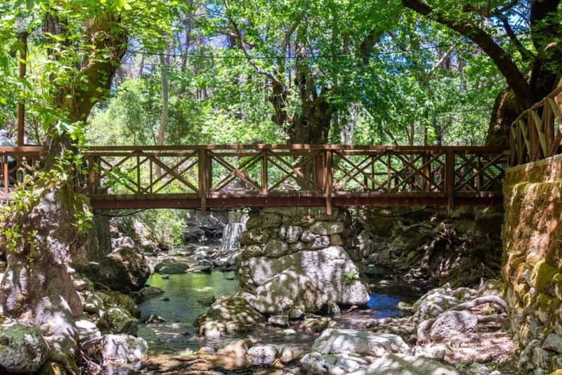 Rhodes: Butterfly Valley and Filerimos Hill Bus Trip - Who this bus trip suits best (and who should skip it)