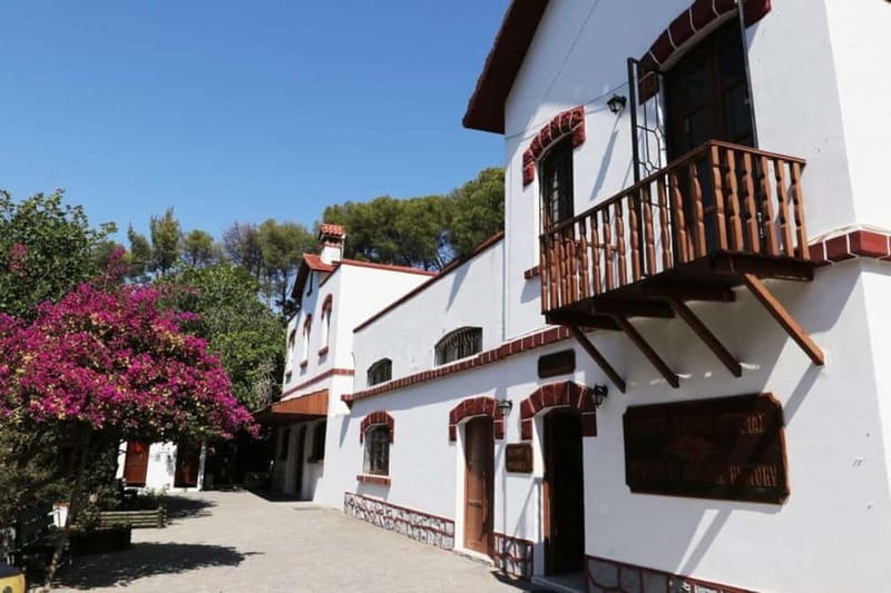 Rhodes: Butterfly Valley and Filerimos Hill Bus Trip - Should you book the Rhodes Butterfly Valley and Filerimos Hill trip?