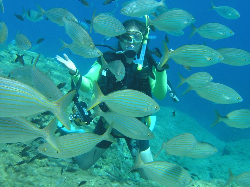 Rhodes: Diving Adventure for Beginners and Experts - Key things I’d bet you’ll care about