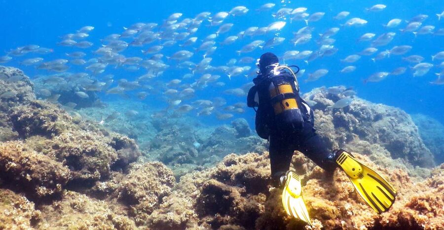 Rhodes: Diving Adventure for Beginners and Experts - Why Rhodes Works So Well for a First Underwater Lesson