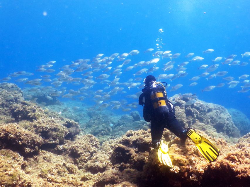 Rhodes: Diving Adventure for Beginners and Experts - What the Kalithea Water Time Actually Looks Like