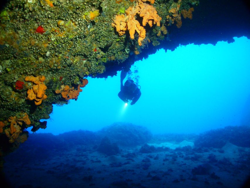 Rhodes: Diving Adventure for Beginners and Experts - Gear, Gear Fit, and What You Don’t Need to Bring