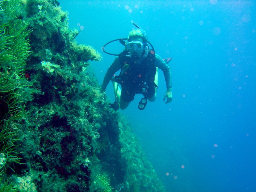Rhodes: Diving Adventure for Beginners and Experts - Training that’s Focused on Breathing, Signals, and Control