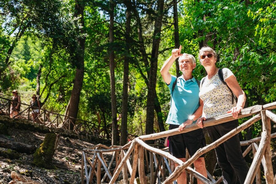 Rhodes: Filerimos Hill and Butterfly Valley Bus Trip - Should you book this Rhodes bus trip?