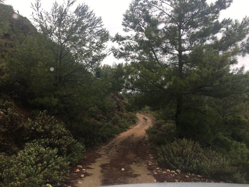 Rhodes: Full–Day 4WD Northern Safari Tour - Off-road driving through dense vegetation: what it actually feels like