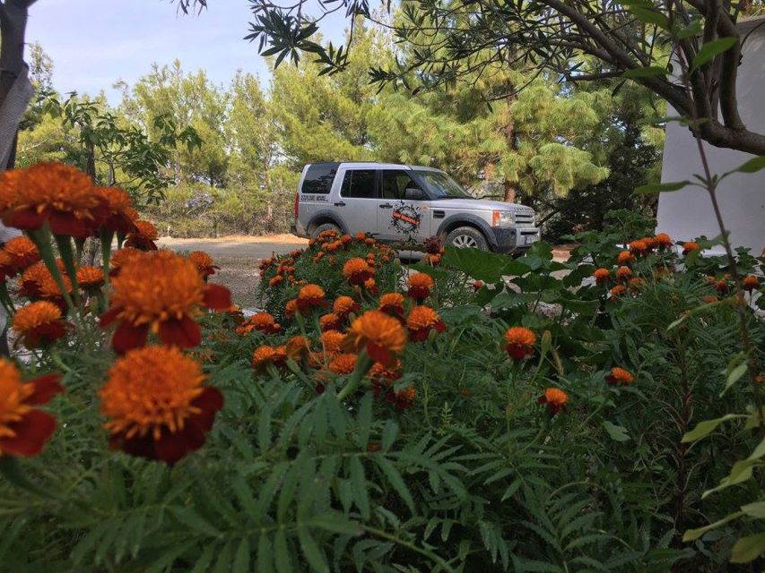 Rhodes: Full–Day 4WD Northern Safari Tour - The relaxed feel after the big off-road stretches