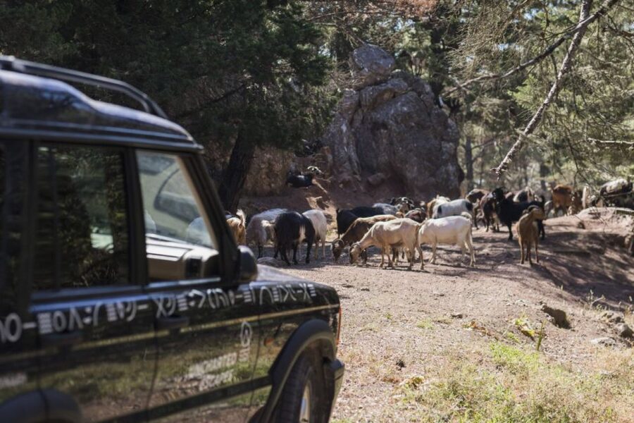 Rhodes: Full-Day 4WD Southern Safari Tour - Southern Rhodes in a 4×4: what makes this safari feel real