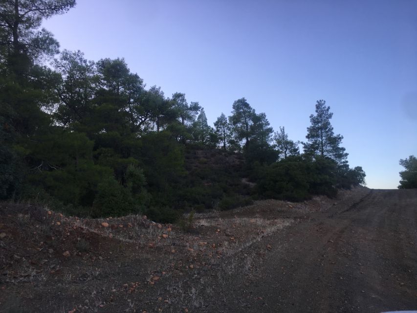 Rhodes: Full-Day 4WD Southern Safari Tour - How the 8 hours actually works: timing, stops, and comfort in a small jeep