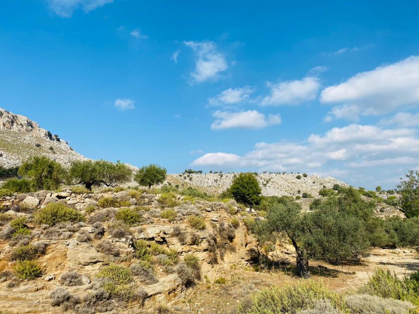 Rhodes: Guided Hike to 7 springs from Archangelos - Starting in Archangelos: meeting point, pickup, and the vibe