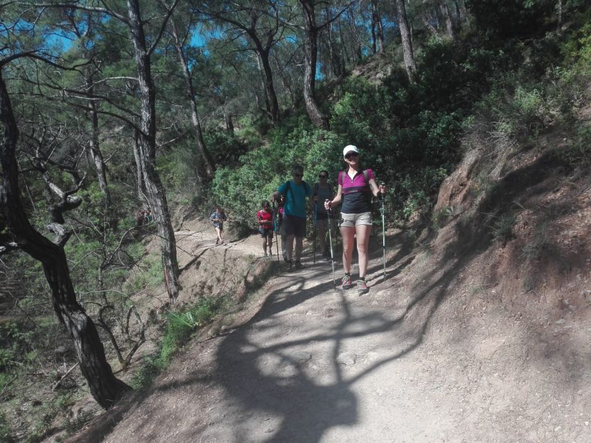 Rhodes: Guided Hike to 7 springs from Archangelos - Streamside path and the old dam: reaching Epta Piges the right way