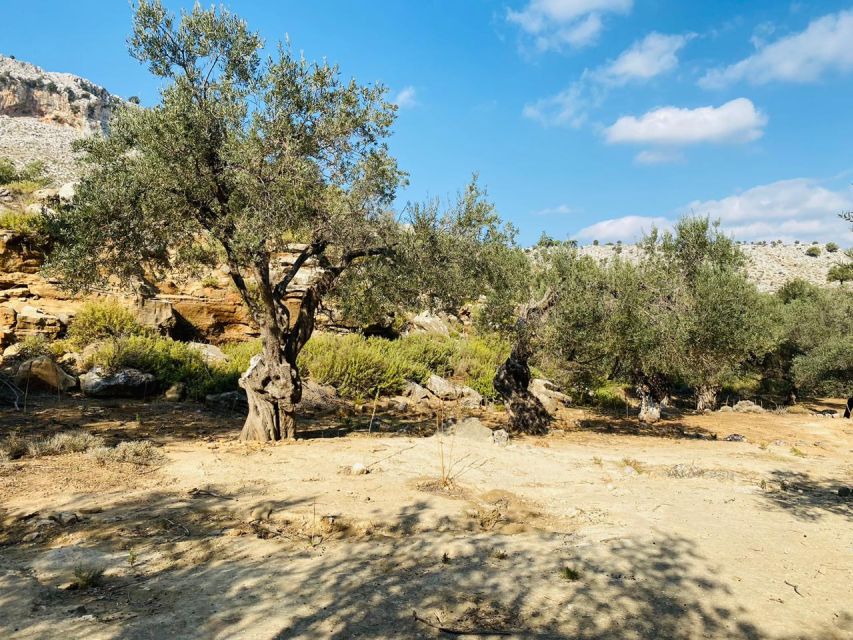Rhodes: Guided Hike to 7 springs from Archangelos - Ducks, peacocks, and a narrow tunnel with cool water