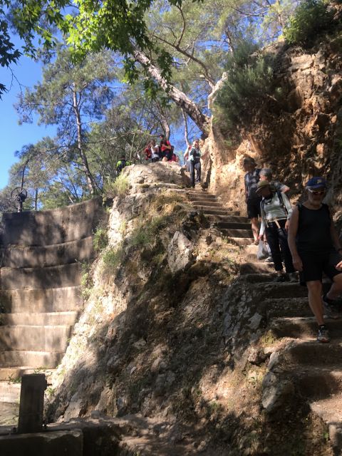 Rhodes: Guided Hike to 7 springs from Archangelos - Leaving the springs: olive groves again and the feel of the return