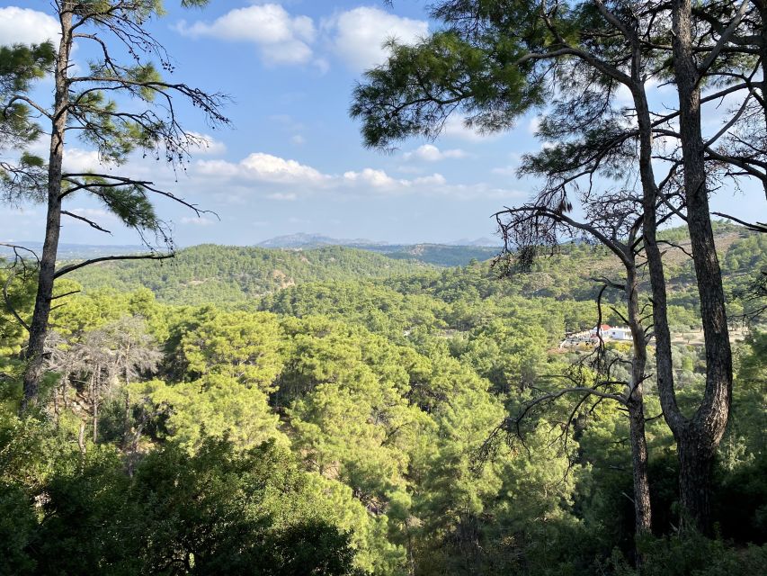 Rhodes: Guided Hike to 7 springs from Archangelos - Price and value: what $37 buys you in real terms